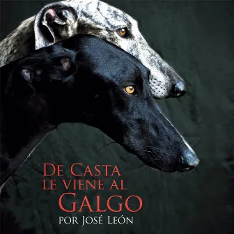 De Casta Le Viene al Galgo by Jose Leon