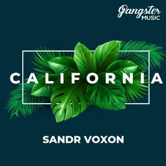 California by Sandr Voxon