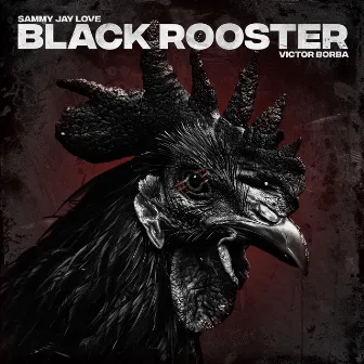 Black Rooster by Sammy Jay Love