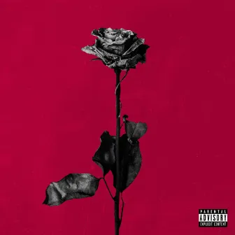 deadroses by blackbear