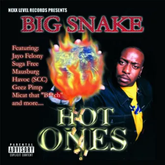 Hot Ones by Big Snake