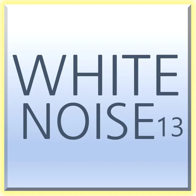 WHITE NOISE (Seoul National University Library Sound & Rain sound)