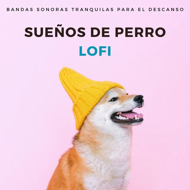 Serenata De Ensueño Perruno