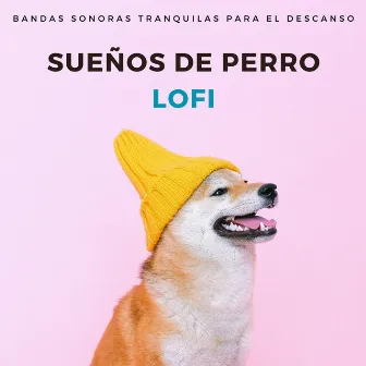 Sueños De Perro Lofi: Bandas Sonoras Tranquilas Para El Descanso by Musicoterapia para perros