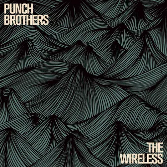 Sleek White Baby by Punch Brothers