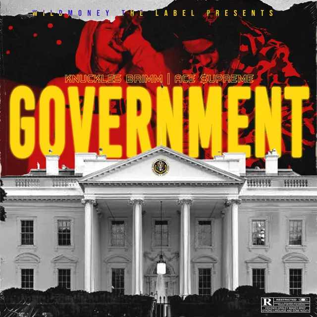 Government