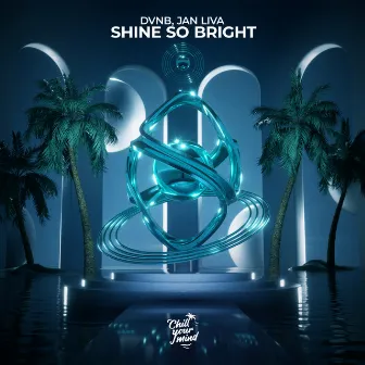 Shine So Bright by DVNB