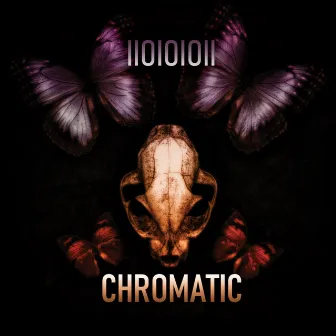 Chromatic by Iioioioii