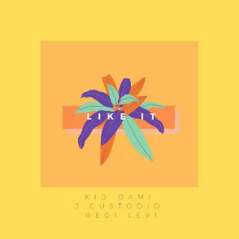 Like It by Kid Dami