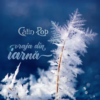 Vraja din iarnă by Calin Pop