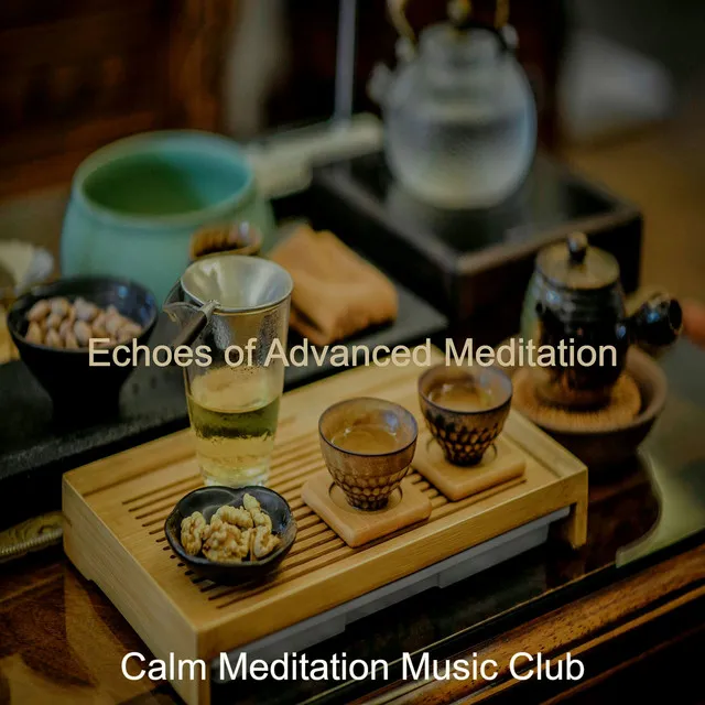 Echoes of Advanced Meditation