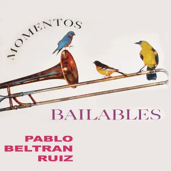 Momentos Bailables by Pablo Beltran Ruiz