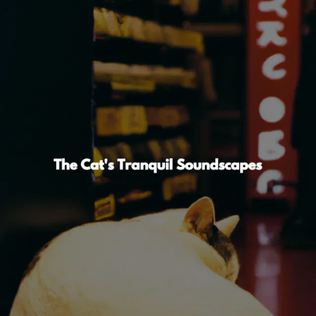 The Cat's Tranquil Soundscapes