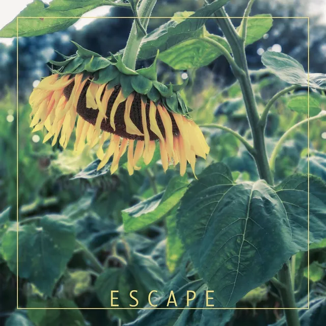 Escape