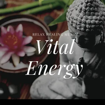 Vital Energy Relax Healing Music by The Hung Drum Project