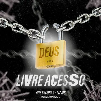 Livre Acesso by Lizz Cole