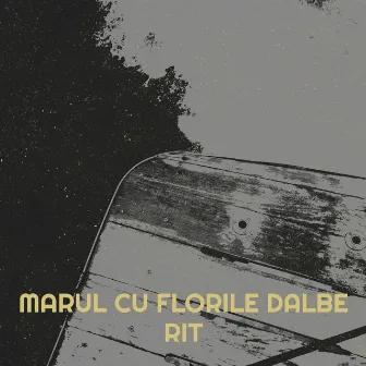 Marul Cu Florile Dalbe by RIT