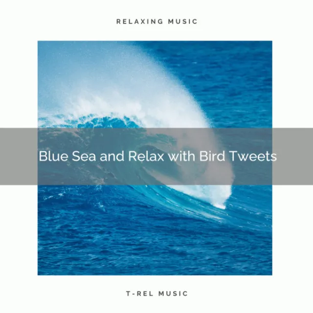 2020 Best: Blue Sea and Relax with Bird Tweets