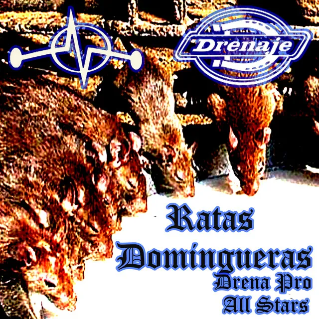 Ratas Domingueras