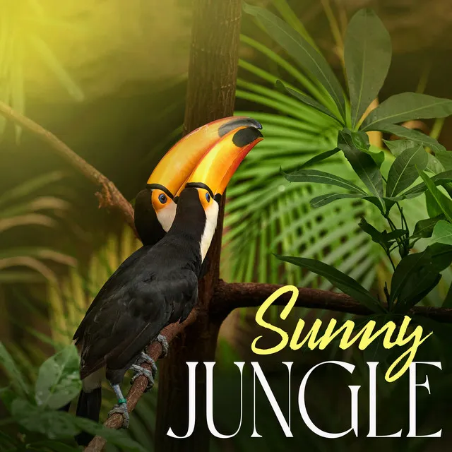 Sunny Jungle: Morning Ambience, Amazing Tropical Birds, Singing In the Forest