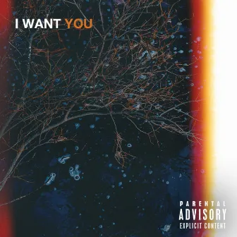 I Want You by ILY Nicky