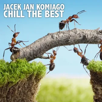 Chill The Best by Jacek Jan Komiago