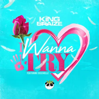 I Wanna Try by King Braize