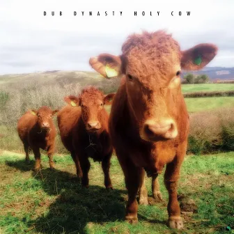 Holy Cow by Dub Dynasty