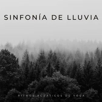 Sinfonía De Lluvia: Ritmos Acuáticos De Yoga by Sonidos de yoga