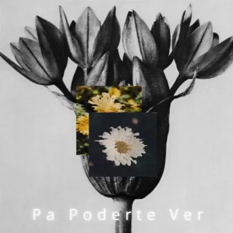 Pa Poderte Ver by Maréh