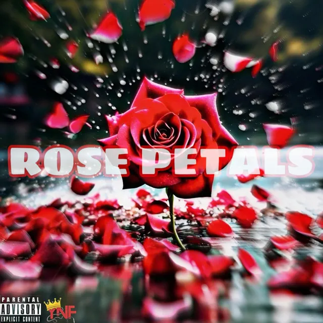 Rose Petals