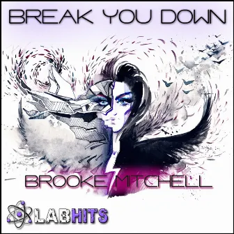 Break You Down by Brooke Mitchell