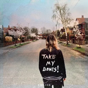 Take My Bones by C Silver