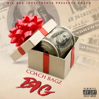 B.I.G. by Coach Bagz