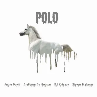 Polo (feat. Steven Malcolm) by Andre David