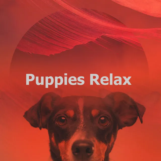 Puppies Relax