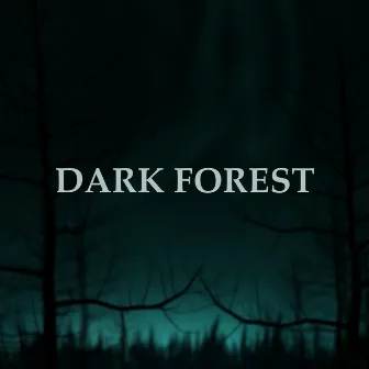 Dark Forest by Sharon Hurvitz