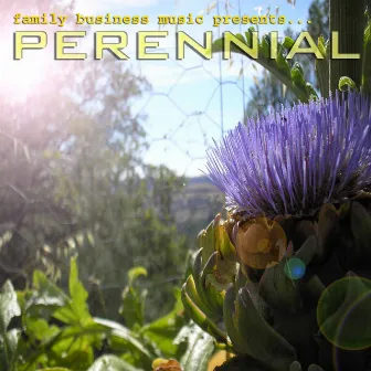 Perennial by Hap Hathaway