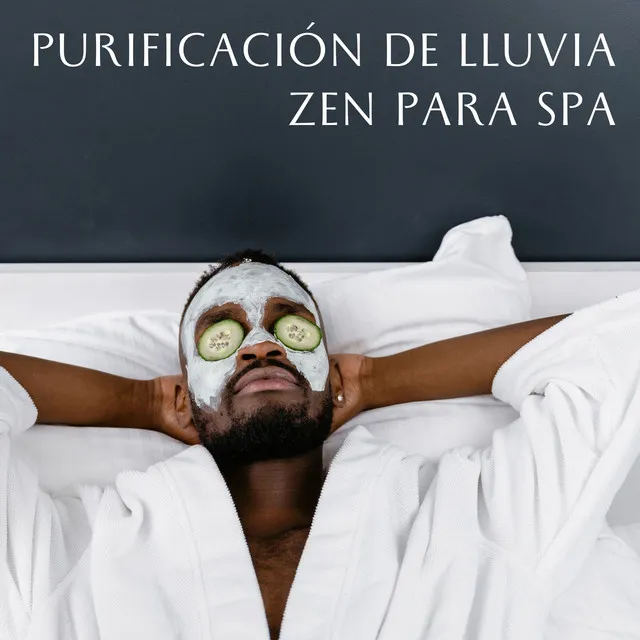 Purificación De Lluvia Zen Para Spa