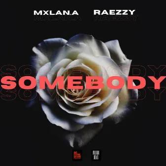 Somebody by Raezzy