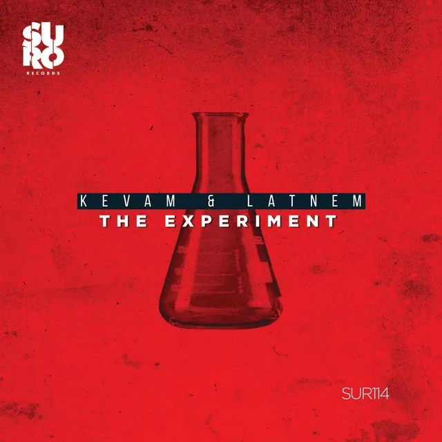 The Experiment - Original Mix