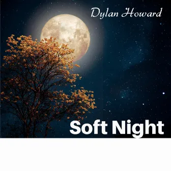 Soft Night: Laid Back Jazz, Mellow Jazzy Sounds for Nice Evening by Unknown Artist