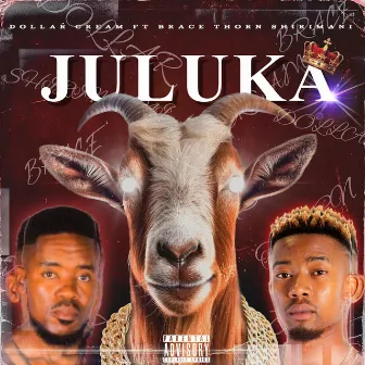 Juluka by Dollar Cream