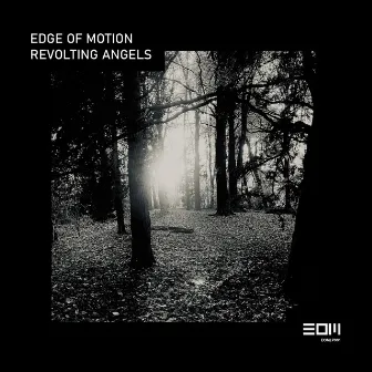 Revolting Angels by Edge Of Motion