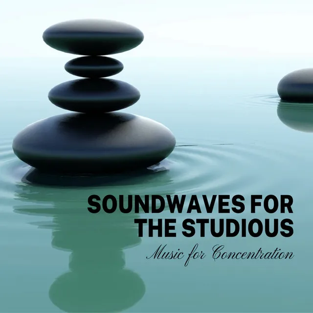 Soundwaves for the Studious: Music for Concentration