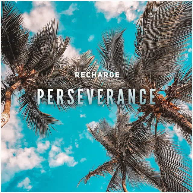 Perseverance - Radio Edit