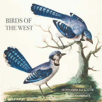 Supposed To Know / More Complex by Birds Of The West