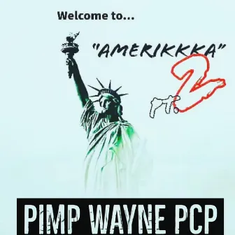 Welcome to Amerikkka, Pt. 2 by Pimp Wayne PCP