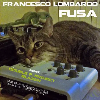 Fusa by Francesco Lombardo