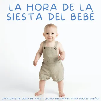 La Hora De La Siesta Del Bebé: Canciones De Cuna De Aves Y Lluvia Relajante Para Dulces Sueños by Sueño Sonidos Lluvia